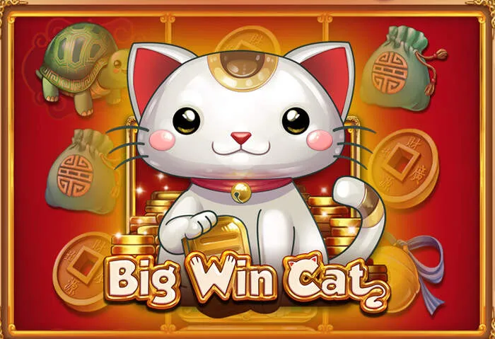 Fast casino payout confirmation on a mobile banking app.