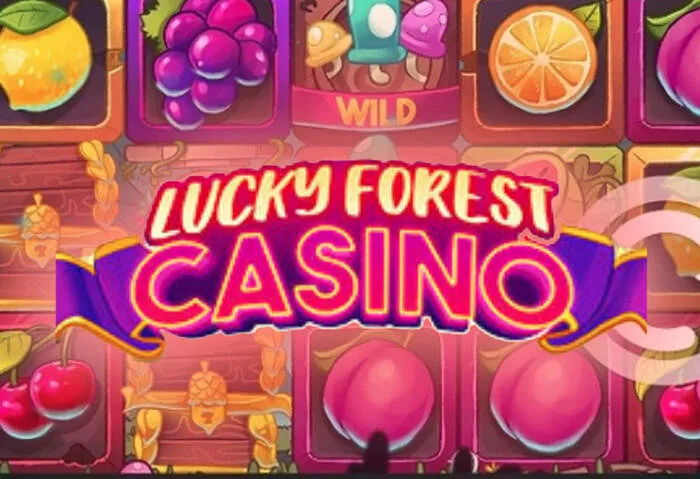 Choosing the best casino for fast and reliable payout methods.